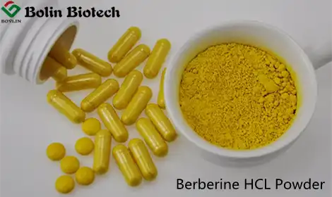 Berberine HCL Powder: A Comprehensive Analysis of Safety, Efficacy, and Multi-Sector Applications